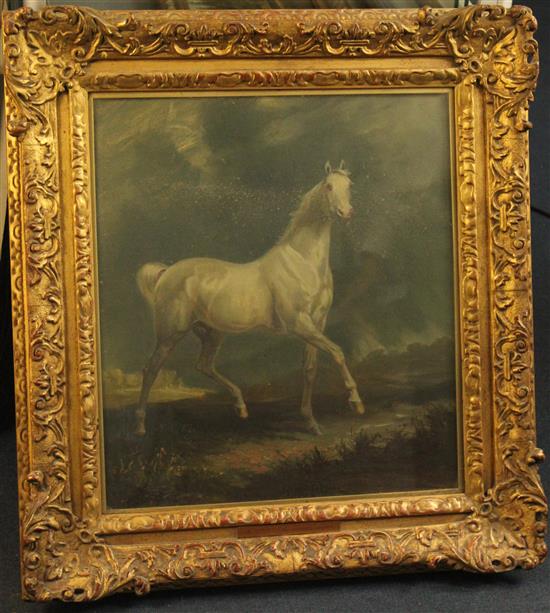 James Lynwood Palmer (1868-1941) Study of a white horse in a landscape, 19 x 17.5in.